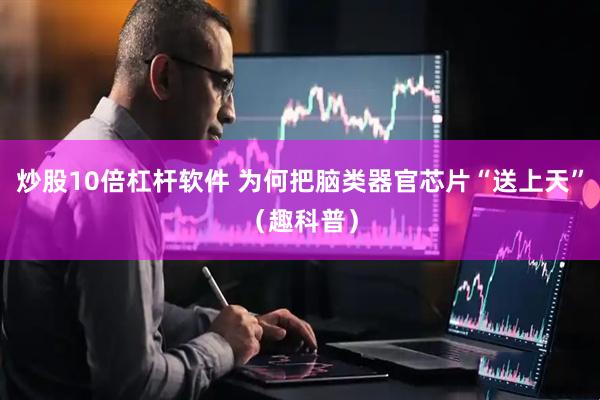 炒股10倍杠杆软件 为何把脑类器官芯片“送上天”（趣科普）